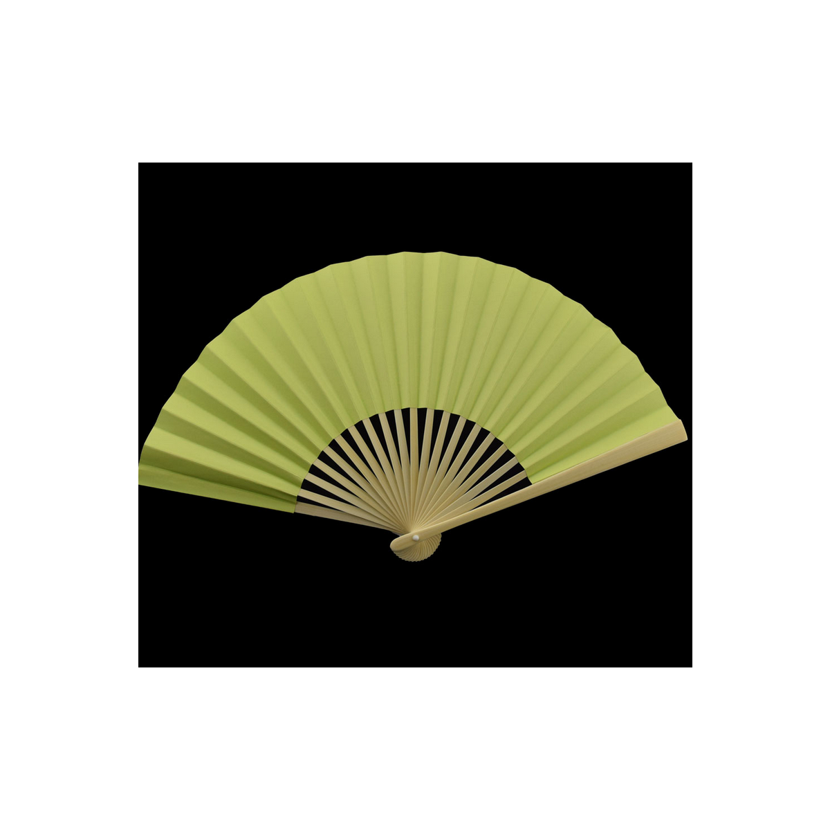 Premium Papierfächer Hellgrün