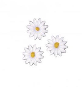 Wachsmotiv Margeriten