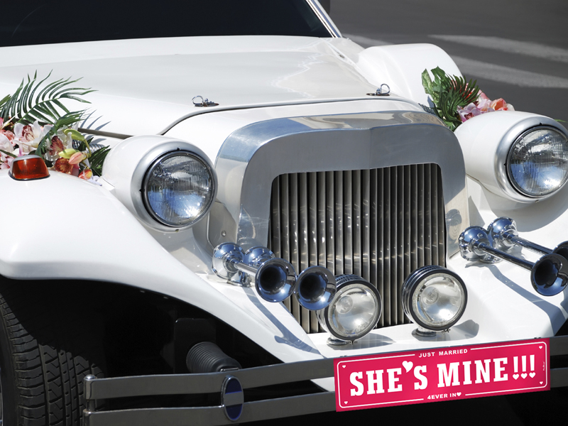 Nummernschild She\'s Mine