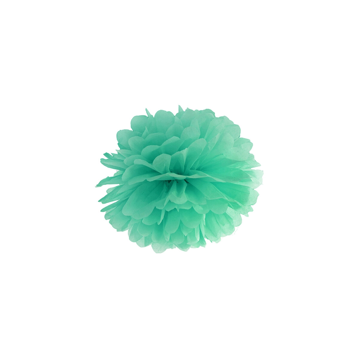 Pom Poms klein