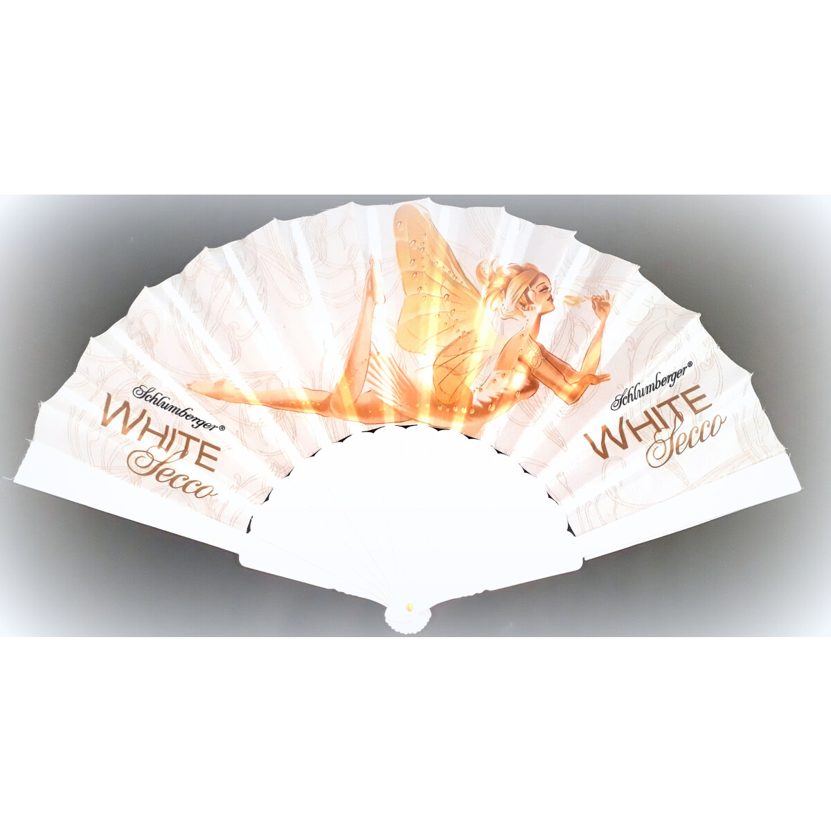 Schlumberger Fächer